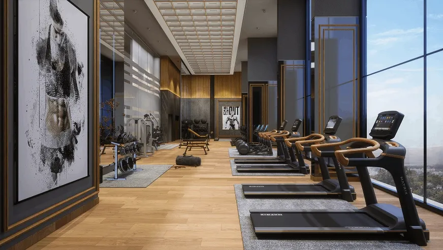 Luxury Gymnasium